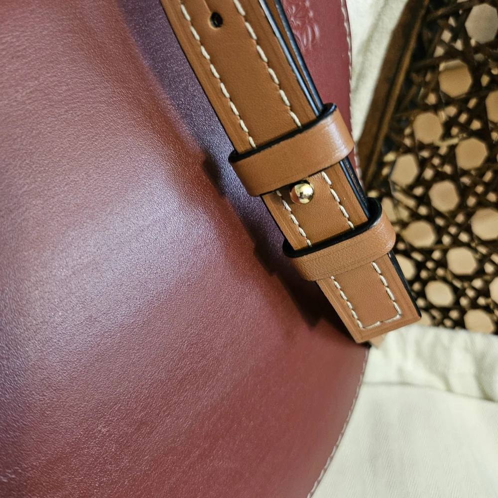 Loewe Gate Tricolor Bag - Picture 7 of 14
